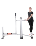 Twister and Skier Fitness Equipment