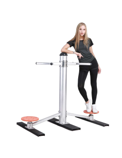 Double Twister Fitness Equipment